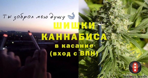 хмурый Мегион