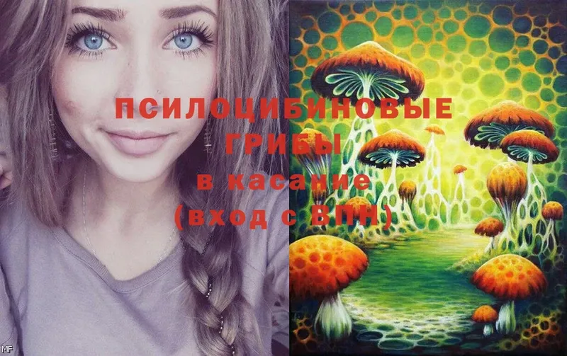 Галлюциногенные грибы Magic Shrooms  Нытва 